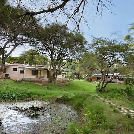 Jungle Hut Hotell Masinagudi Exteriör bild