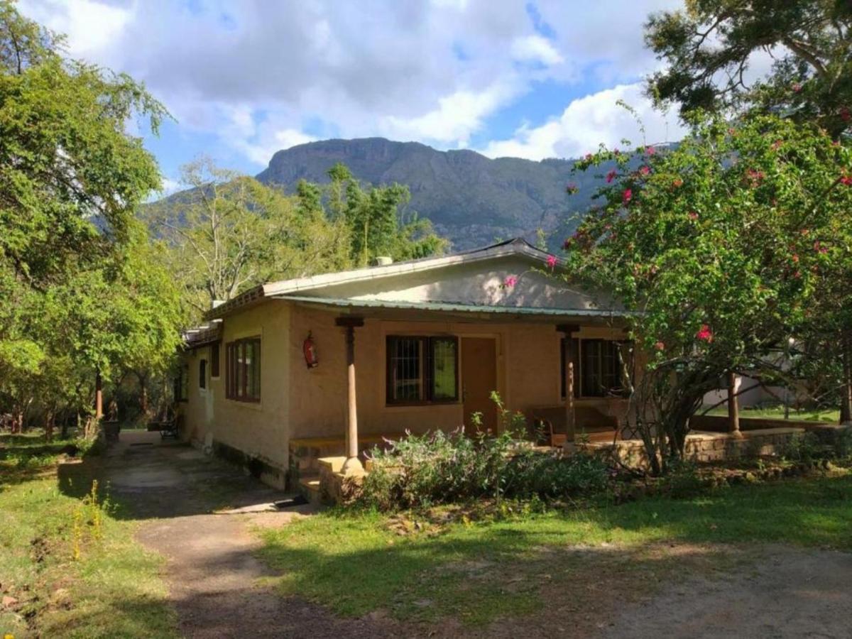 Jungle Hut Hotell Masinagudi Exteriör bild